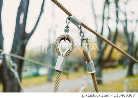 Exploring the intricate details of a climbing recreation area with rope equipment in a vibrant park setting during autumn Exploring the intricate details of a climbing recreation area with rope equipment in a vibrant park setting during autumn 133469367