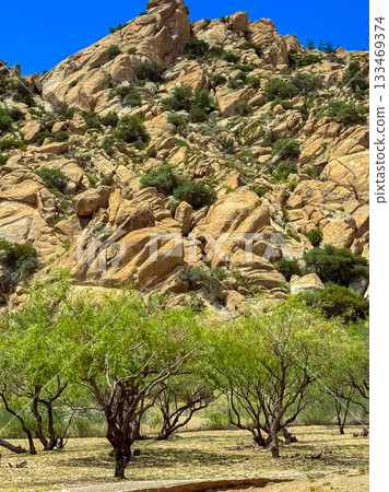 Rocky hills and lush trees merge under a bright blue sky in a serene desert landscape, inviting exploration and tranquility 133469374