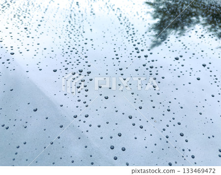 Drops of rain softly glisten on a smooth surface, reflecting the world above during a tranquil afternoon after a gentle shower Drops of rain softly glisten on a smooth surface, reflecting the world above during a tranquil afternoon after a gentle shower 133469472