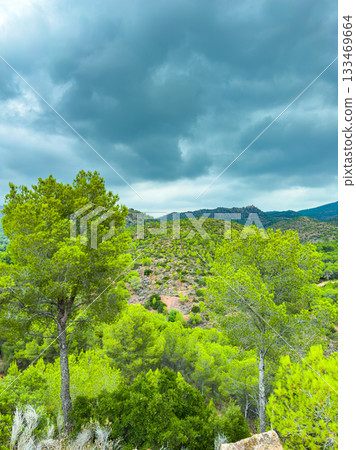 Vibrant green hills under a dramatic sky in a serene mountain landscape during midday 133469664