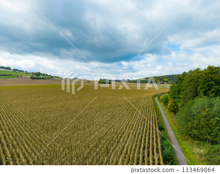 Rolling fields stretch under a cloudy sky with a winding path on the edge during early autumn in the countryside Rolling fields stretch under a cloudy sky with a winding path on the edge during early autumn in the countryside 133469864