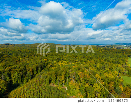 Lush green forest under a vast sky filled with fluffy clouds on a bright autumn day Lush green forest under a vast sky filled with fluffy clouds on a bright autumn day 133469873