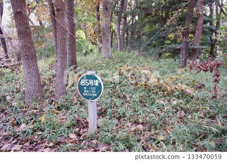 千葉縣龍閣寺墓群，第85號墓 133470059