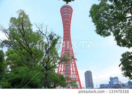 Kobe Port Tower, Kobe City, Hyogo Prefecture 133470188