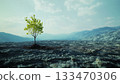 A trees in the middle of a barren deforestation forest 133470306