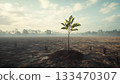 A trees in the middle of a barren deforestation forest 133470307