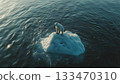 Polar bear on melting ice surrounded by water 133470310