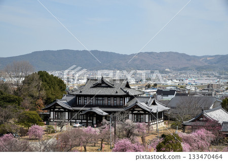 Yamatokoriyama Castle Ruins (Castle Ruins Hall and Weeping Plum Blossoms) [Yamatokoriyama City, Nara Prefecture] 133470464