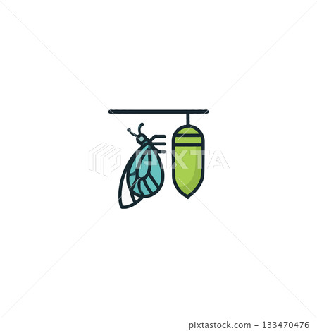 Metamorphosis stage displayed with butterfly emerging from chrysalis icon represents 133470476