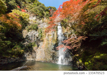 Minoh Falls in beautiful autumn colors Minoh Falls in beautiful autumn colors 133470523