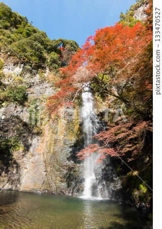 Minoh Falls in beautiful autumn colors Minoh Falls in beautiful autumn colors 133470527