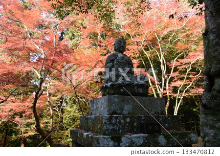 Shogonji Temple in Autumn Shogonji Temple in Autumn 133470812