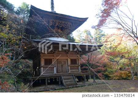 Shogonji Temple in Autumn 133470814