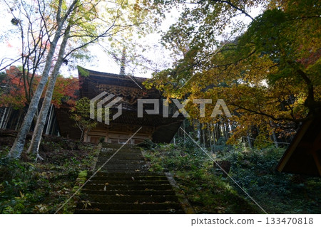 秋季的聖言寺 秋季的聖言寺 133470818