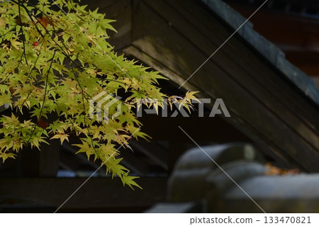 Shogonji Temple in Autumn Shogonji Temple in Autumn 133470821