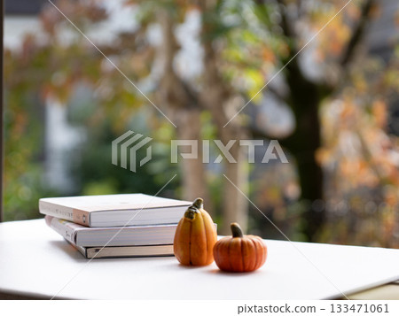 Books and pumpkins with a garden in the background Books and pumpkins with a garden in the background 133471061