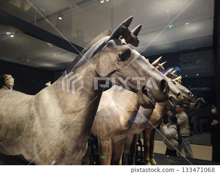 Xi'an, China - Jan 2,2025 :  Famous Terracotta Army on display in the Museum of the Terra-cotta Warriors in Xi'an, China on Jan 2,2025.  133471068