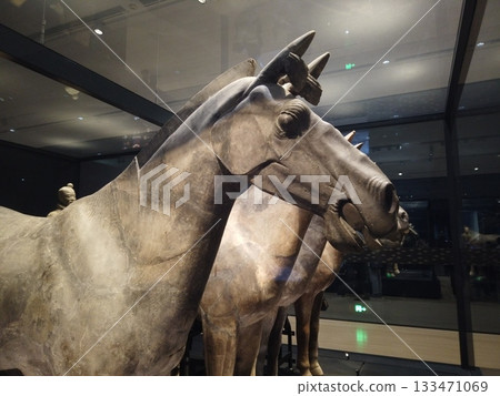 Xi'an, China - Jan 2,2025 : Famous Terracotta Army on display in the Museum of the Terra-cotta Warriors in Xi'an, China on Jan 2,2025. Xi'an, China - Jan 2,2025 : Famous Terracotta Army on display in the Museum of the Terra-cotta Warriors in Xi'an, China on Jan 2,2025. 133471069