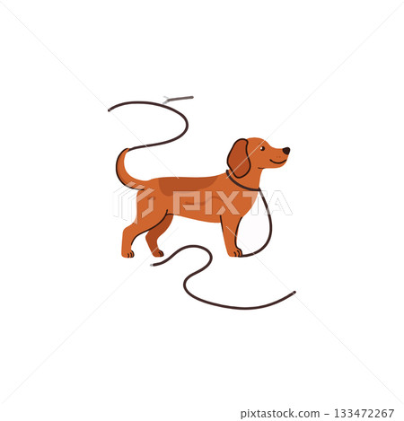 A charming dachshund illustration with its leash, capturing the bond between owner and pet ready 133472267