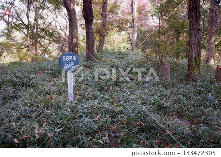 千葉縣龍閣寺墓群，第89號墓 133472305