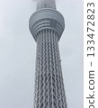 Tokyo Skytree on a cloudy day-1 133472823