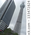Tokyo Skytree on a cloudy day-2 133472824