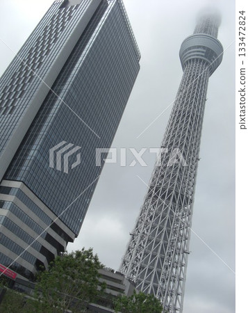 Tokyo Skytree on a cloudy day-2 133472824