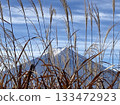 Fuji and Japanese silver grass in early winter Fuji and Japanese silver grass in early winter 133472923