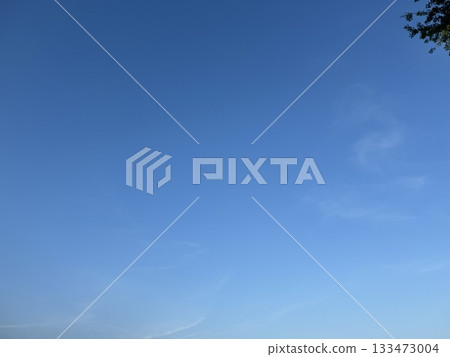 藍天和樹木/天空 133473004