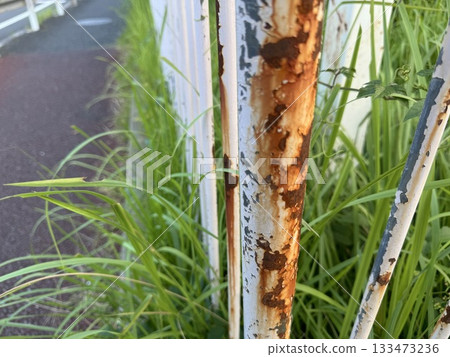 The fence The fence 133473236