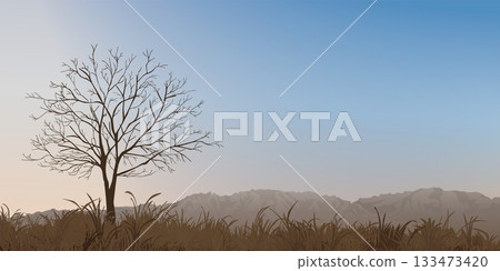 Silhouette leafless tree in minimalist countryside landscape in autumn with mountain ranges far away have sunset sky background graphic illustration. Silhouette leafless tree in minimalist countryside landscape in autumn with mountain ranges far away have sunset sky background graphic illustration. 133473420