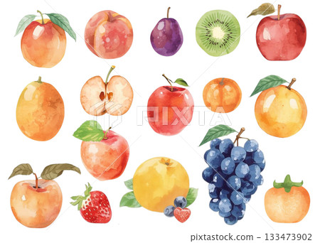水彩風格彩色水果插畫集 133473902