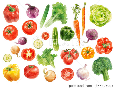 Watercolor style colorful vegetable illustration set 133473903