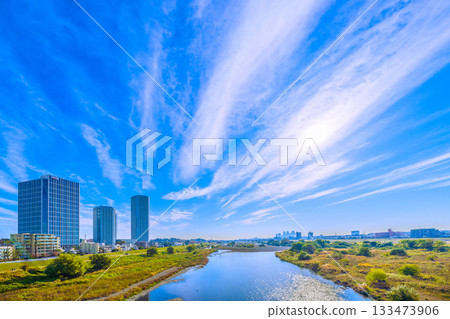 日本東京，11月24日。清晨的多摩川，一隻水禽，波光粼粼的水面，武藏小杉站前的高層公寓大樓… 133473906
