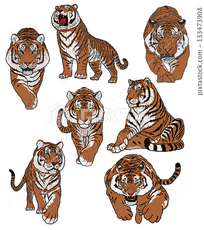 一隻老虎 133473908