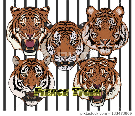 一隻老虎 133473909