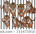 一隻老虎 133473910