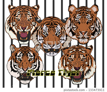 一隻老虎 133473911