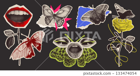 Halftone butterfly sticker collage Halftone butterfly sticker collage 133474054
