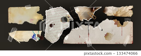 Scrapbook collection of vintage torn paper 133474066