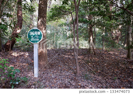 千葉縣龍閣寺墓群，第96號墓 133474073