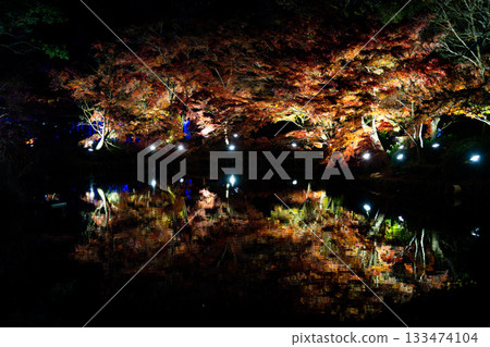 Autumn leaves reflected on the water 133474104