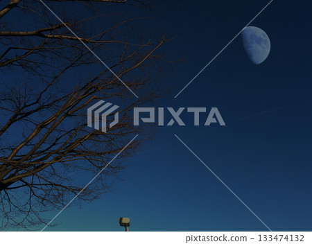 Looking up at the fallen trees and the waxing crescent moon just after sunset in winter (image of December, the end of the year, the cold winter sky) 133474132