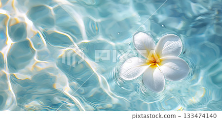 tropical flower in the pool tropical flower in the pool 133474140