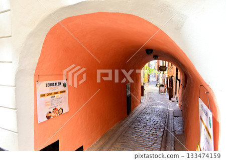 穿過舊城區加姆拉斯坦隧道的鵝卵石小巷 133474159