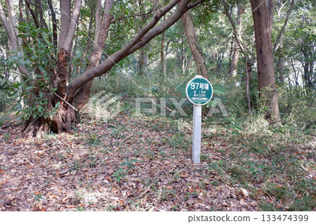 千葉縣龍閣寺墓群，第97號墓 133474399