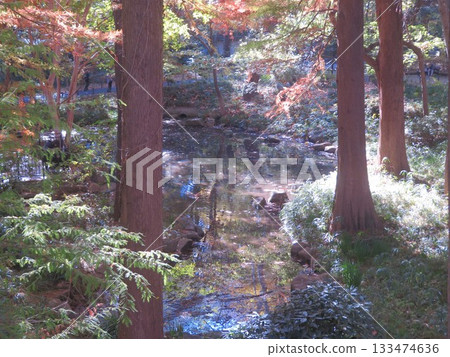 風景與秋天的落葉 133474636