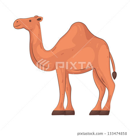Illustration of camel 133474858