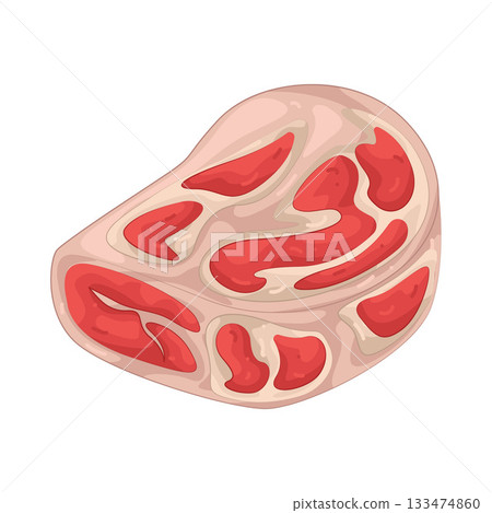 Illustration of meat 133474860
