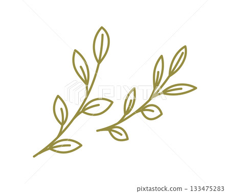 Green kraft plant branch outline gives simple floral decor. Holiday gift or box can use this craft graphic as trendy element for natural background in eco style. Green kraft plant branch outline gives simple floral decor. Holiday gift or box can use this craft graphic as trendy element for natural background in eco style. 133475283